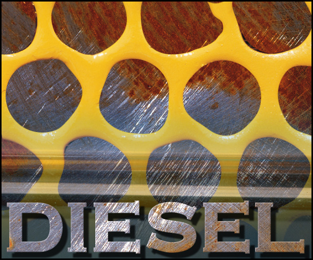 diesel grillr